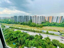 Blk 233A Matilda Court (Punggol), HDB 2 Rooms #449655941